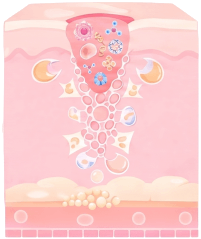 LETI SKIN2 - Reparación Step 2