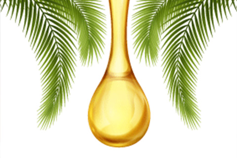 aceite palma letifem